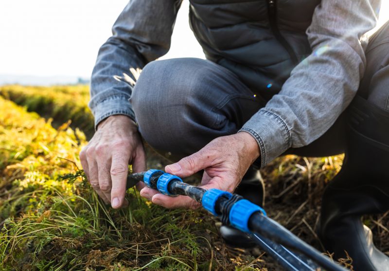 Pop Up Sprinklers Repair